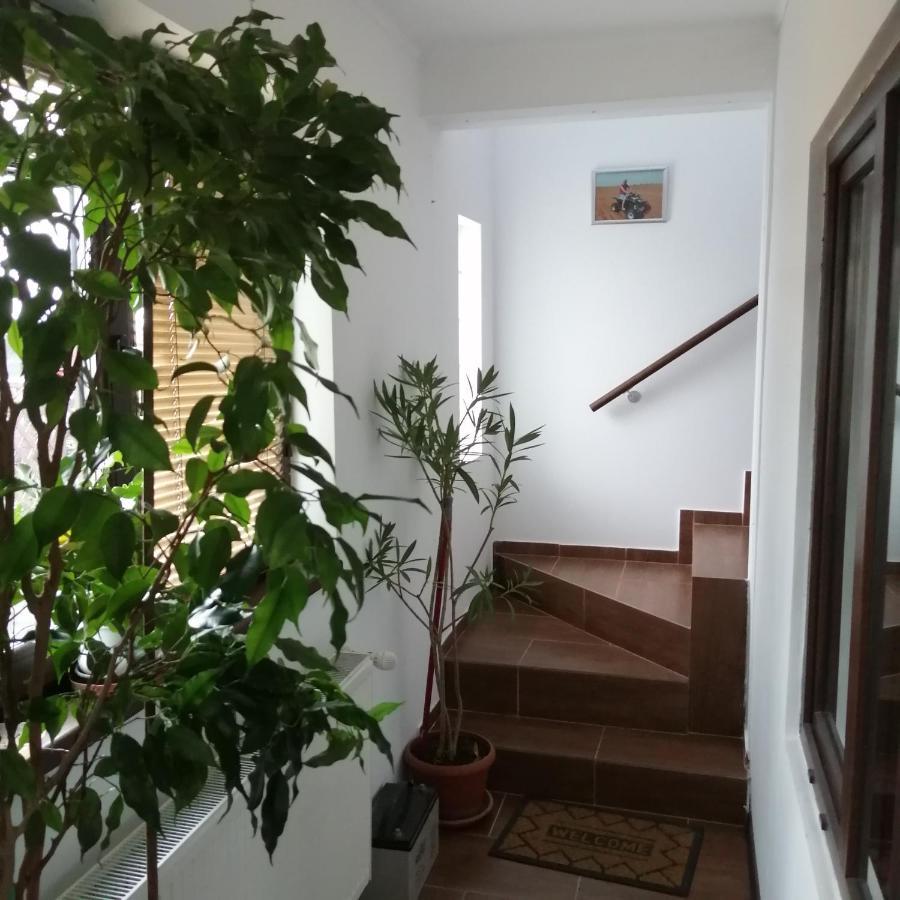 Villa 38 Silviu Apartment Бухарест Экстерьер фото